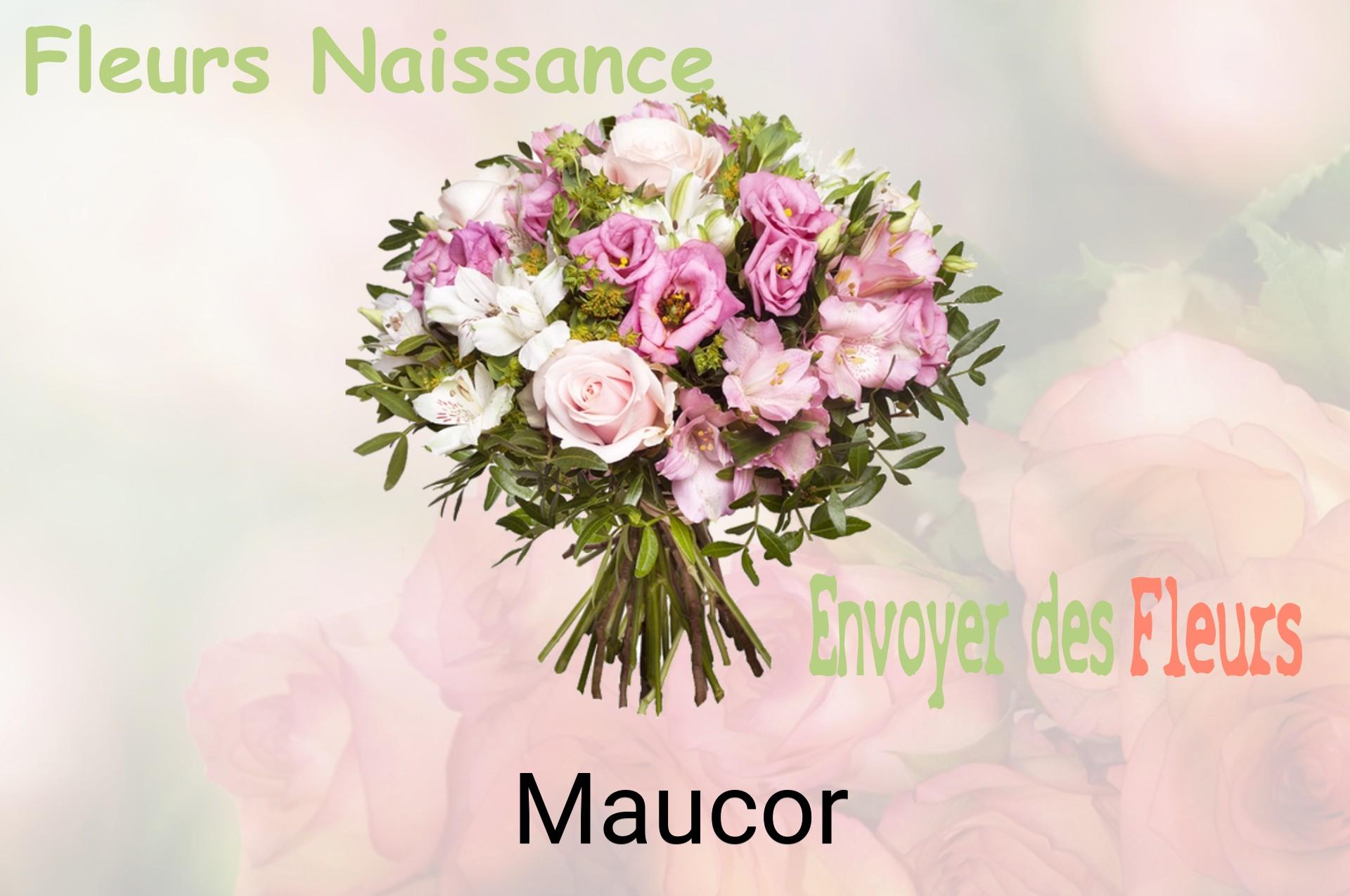 Bouquet de fleurs de naissance livré à Maucor